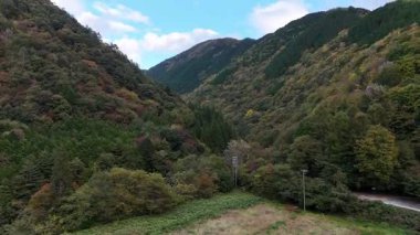 Mavi gökyüzünün altındaki dağlarla çevrili yemyeşil bir vadi