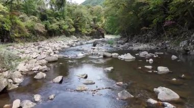Ağaçlarla çevrili kayalık arazide akan sakin bir nehir.