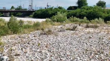 Yeşil çalılar ve ağaçlarla çevrili çakıl taşları üzerinde uçan leylekler.