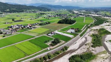 Yeşil tarlaların ve küçük kırsal evlerin havadan görünüşü