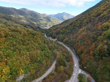 Bir sürü ağaç ve birkaç arabalı bir dağ yolu. Yol dönüyor ve ağaçlar sonbaharın çeşitli aşamalarında.