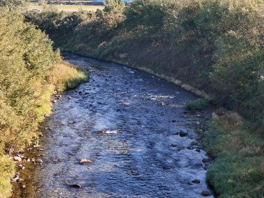 Kayalık dibi ve yanında yeşil orman olan bir nehir. Su berrak ve sakin.