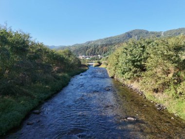 İki tarafında yeşil orman olan bir nehir. Su berrak ve sakin. Gökyüzü mavi ve hiç bulut yok.