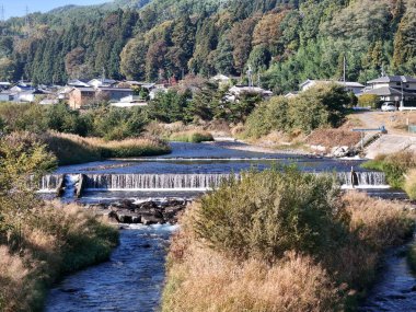 Etrafı yemyeşil ve arka planda küçük bir kasabayla çevrili, içinden şelale akan güzel bir nehir. Sahne sakin ve sakin, suyun sesiyle.