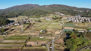 Yeşil tarlaların ve kırsal alanların havadan görünüşü