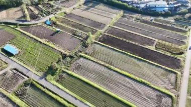 Çeşitli ekin şekilleriyle tarımsal alanların havadan görünüşü