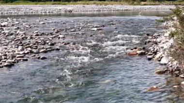 Akan nehir suyu pürüzsüz taşların üzerinde dalgalanmalar yaratır.