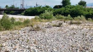 Herons flying over rocky riverbank surrounded by green trees and mountains