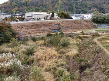 Bir sürü yabani otun ve küçük bir binanın olduğu bir kırsal alan. Manzara kasvetli ve ıssız.