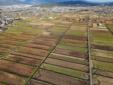 İçinde birçok farklı mahsulün yetiştiği büyük bir tarla. Gökyüzü açık ve güneş parlıyor.
