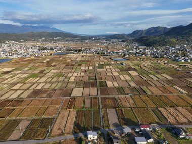 Arka planda birkaç ev olan geniş bir ekin tarlası. Sahne sakin ve sakin, açık alan ve doğal manzara huzur ve sükunet hissi yaratıyor.