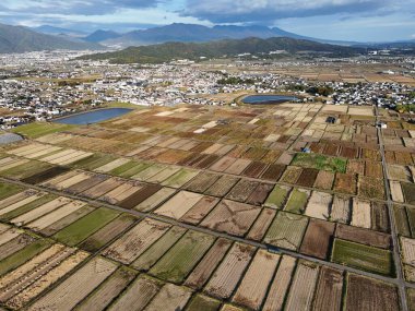 Resimde çok sayıda farklı ekinlere sahip büyük bir tarla gösteriliyor. Gökyüzü bulutlu ve arazi dağlarla çevrili.