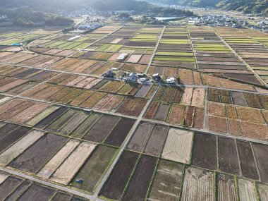 Bir sürü farklı mahsulle dolu büyük bir tarla. Gökyüzü açık ve güneş parlıyor.