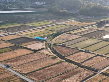 Ortasında mavi bir kamyonet olan bir ekin tarlası. Gökyüzü açık ve güneş parlıyor.