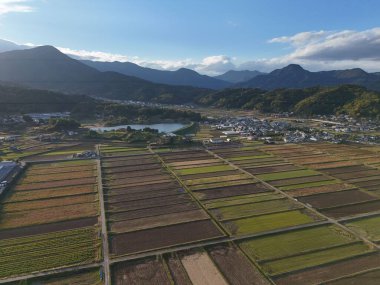 Bir sürü küçük arazisi olan büyük bir tarla. Gökyüzü mavi ve güneş parlıyor.