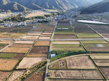 İçinde küçük tarlalar olan büyük bir tarla. Gökyüzü mavi ve güneş parlıyor.
