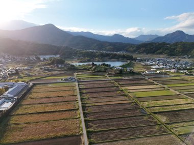 Arka planda küçük bir kasaba olan büyük bir ekin tarlası. Gökyüzü açık ve güneş parlıyor.
