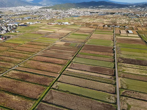 İçinde birçok farklı mahsulün yetiştiği büyük bir tarla. Gökyüzü açık ve güneş parlıyor.