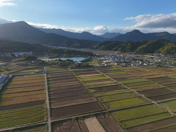 Bir sürü küçük arazisi olan büyük bir tarla. Gökyüzü mavi ve güneş parlıyor.