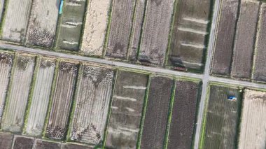 Tarım alanlarının hava görüntüsü bölümlere bölündü