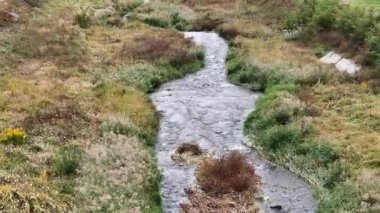 Yeşil çayırlarda akan başıboş bir dere.