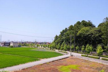 Toprak yolu ve çiti olan bir arazi. Gökyüzü mavi ve gökyüzünde uçan kuşlar var.