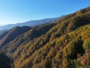 Kırmızı, sarı ve yeşil gibi çeşitli renklerde ağaçlarla kaplı güzel bir dağ sırası. Ağaçlar tüm dağ sırasına yayılmış, dinginlik yaratıyor.