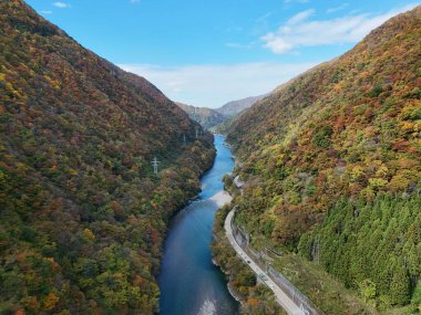Her iki tarafında ağaçlar olan bir ormanın içinden bir nehir akıyor. Su berrak ve gökyüzü mavi.