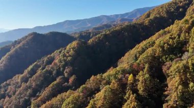Açık mavi gökyüzünün altındaki dağları kaplayan renkli sonbahar yaprakları