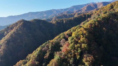 Sonbahar güneşinde dağları kaplayan renkli ağaçlar