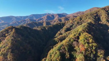 Dağları ve vadileri kaplayan renkli sonbahar ağaçları