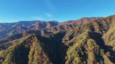 Sonbahar mevsiminde renkli dağların havadan görünüşü