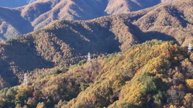 Dağların uzak manzarası ve renkli sonbahar yaprakları