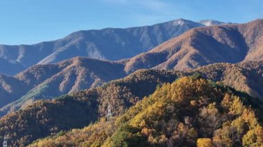 Berrak mavi gökyüzünün altında sonbahar yapraklarıyla kaplı dağlar.
