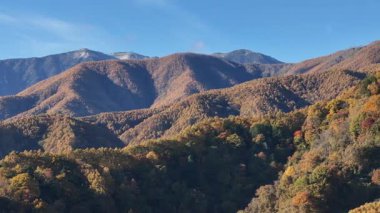 Sonbahar yapraklarını güneş ışığında gösteren dağ manzarası