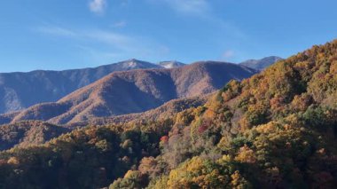 Mavi gökyüzünün altındaki dağları kaplayan renkli sonbahar ağaçları