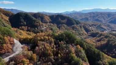 Dağlardaki renkli sonbahar ağaçlarının havadan görünüşü