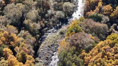 Sonbahar ağaçlarıyla çevrili nehrin havadan görünüşü