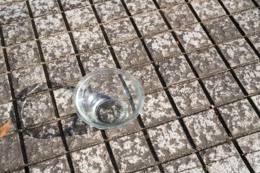 Cam bir kase fayanslı bir zeminde duruyor. Kase boş ve üzerinde bir gölge var.