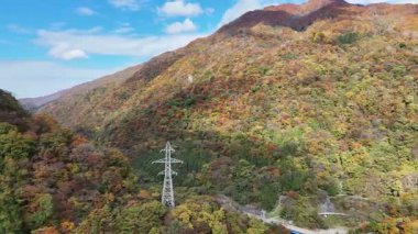 Renkli sonbahar ormanları boyunca uzanan elektrik hatları