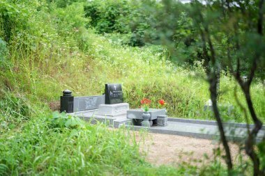 Küçük taştan bir mezar taşı ve kırmızı çiçekli küçük bir vazo. Mezarlık yemyeşil bir tarla ile çevrili.