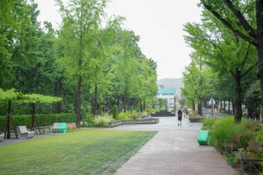 Patikası ve ağaçları olan bir park. İnsanlar yolda yürüyor ve bazıları banklarda oturuyor. Gökyüzü bulutlu ve yağmur yağıyor