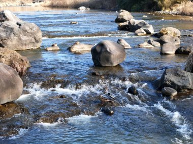 A river with a lot of rocks in it. The water is moving fast and the rocks are scattered throughout the river