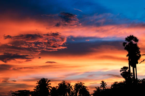 Cielo nocturno naturaleza —  Fotos de Stock