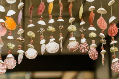 Mobile Shell closeup ayrıntılı arka plan