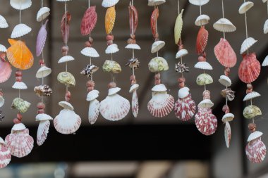 Mobile Shell closeup ayrıntı nesne arka plan