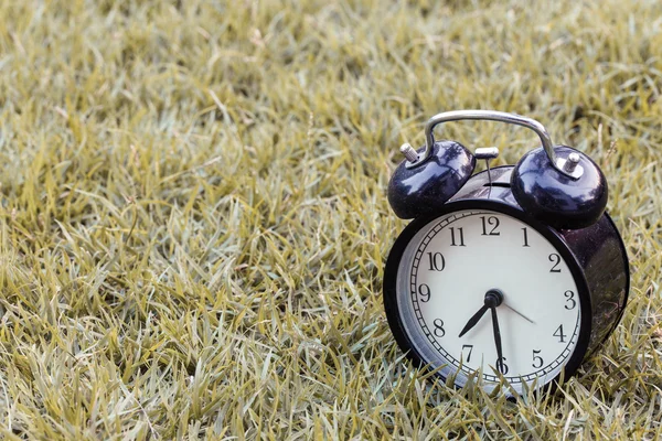 草の上の朝の目覚まし時計 — ストック写真