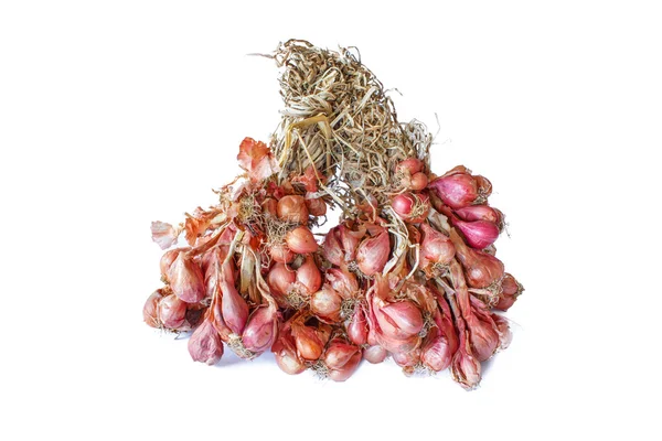 Shallots Closeup Detail Vegetable Isolated — Stock Photo, Image