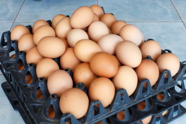 Yumurta ile yumurta tepsi ayrıntı