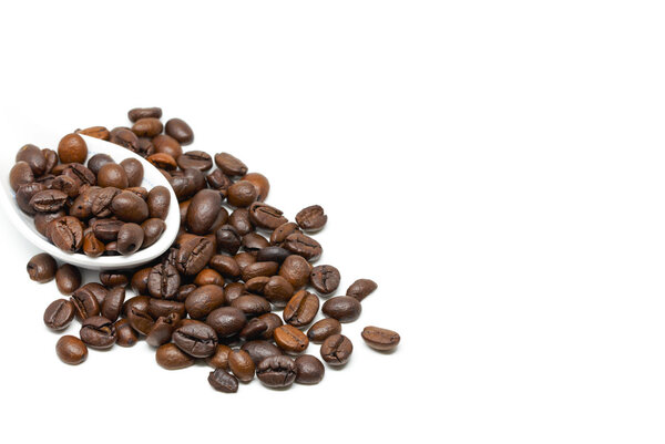 Coffee bean White background detail